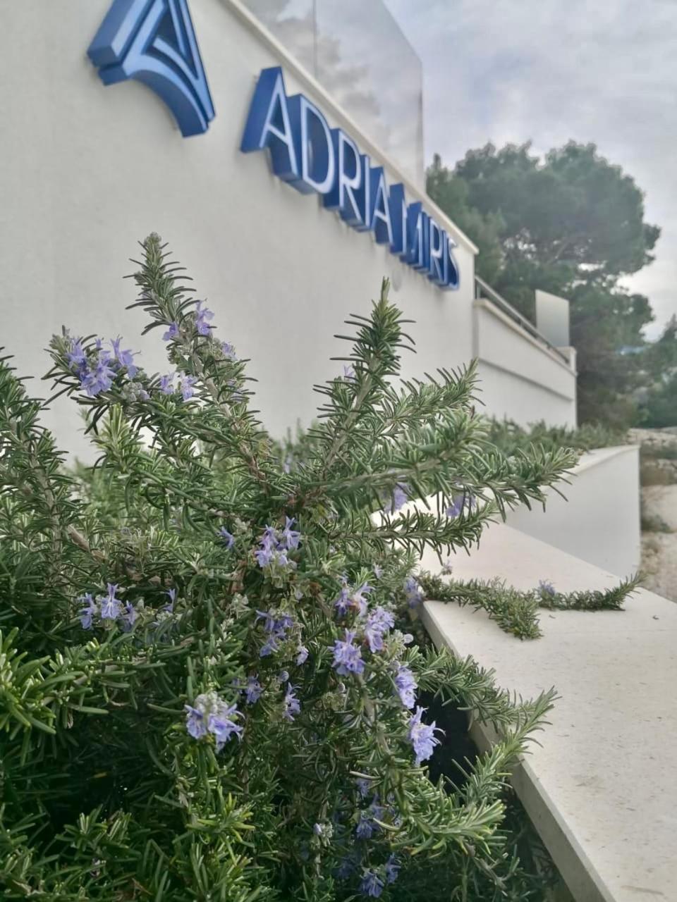 Adria Miris Apartments Drašnice Zewnętrze zdjęcie